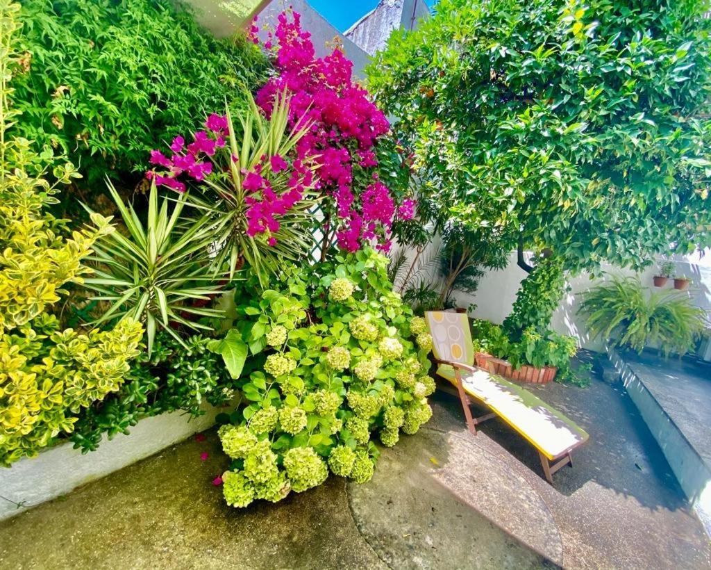 Patio Da Laranjeira *