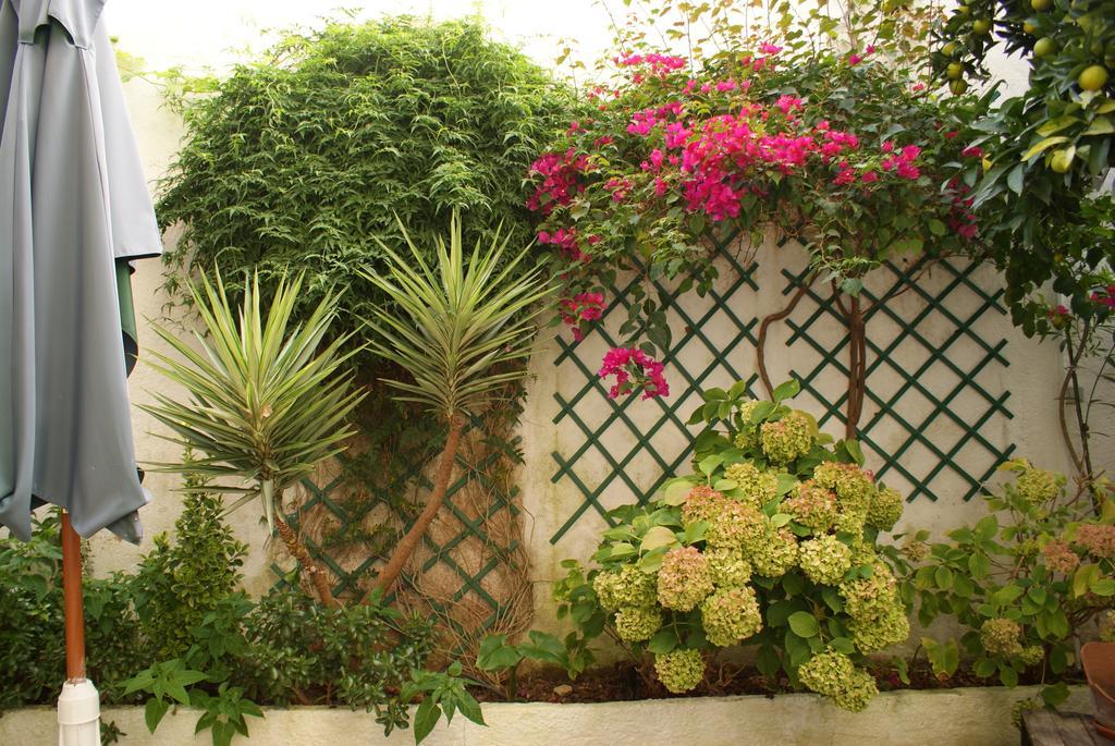 Patio Da Laranjeira Tomar